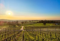 摄景“罗马山”(南德)