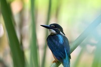 继续上次没发出去的照片