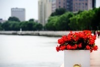 大辽河风光美如画