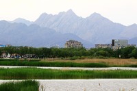 7D2加大白组合还是很不错的!