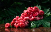 水果写真——莲雾