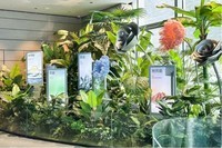 10月24日,比亚迪郑州迪空间正式开馆,郑州的迪粉们有福了