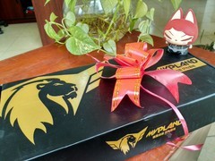 可以很霸气 也可以很美！MVPLAND！！！