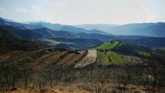 后期几张。。。。最后一张手机拍的小景