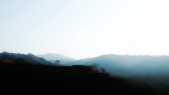 后期几张。。。。最后一张手机拍的小景