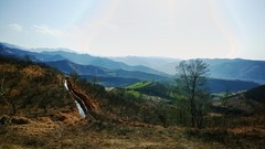 后期几张。。。。最后一张手机拍的小景