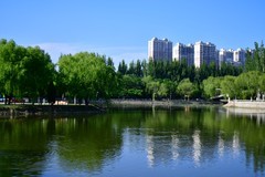 美丽的镜湖公园