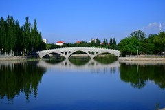 美丽的镜湖公园