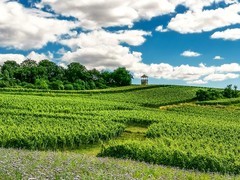 手机秀光影（南德田园风光）