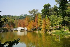 广州云萝植物园--2