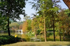 广州云萝植物园--2