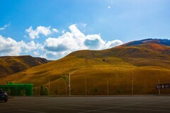 那拉提草原风景 5