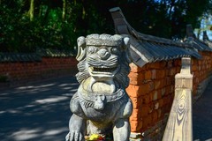 2025云南行一一弥勒可邑小镇