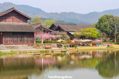 皋亭千桃园（3）