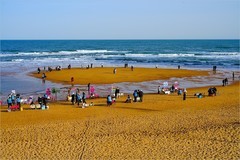 2026年第0446贴 -威海海滨风光（0629）