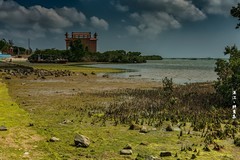 ?广东湛江 · 特呈岛（3）