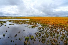 2025年第0715贴-甘南若尔盖湿地旅拍（1013）