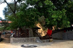 丹东——大鹿岛（11）