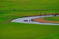 呼伦贝尔行一一莫日格勒河