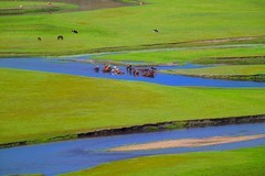 呼伦贝尔行一一莫日格勒河