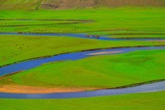 呼伦贝尔行一一莫日格勒河