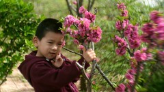 公园遛弯儿，随见随拍