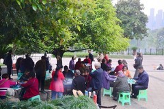 融桥公园春季场景(三)