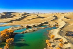 外出随拍（757）.