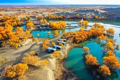 外出随拍（757）.