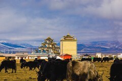 外出随拍（758）.