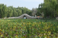 中山公园【银川】