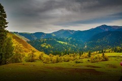 那拉提草原风景 8