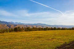 那拉提草原风景 8