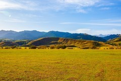 那拉提草原风景 8