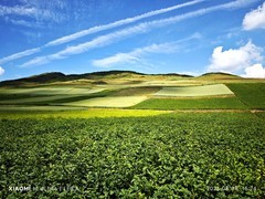 手机拍青海【7】