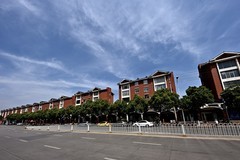 2026小城的春（叁拾玖）