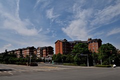 2026小城的春（肆拾）