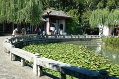 黄鹤楼五（完）