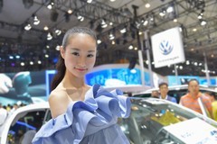 巧笑倩兮 (73)