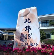 2124【不老松：纪实摄影】《山河锦绣》南国风情：海南島三亚：大东海：凤凰岭！