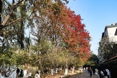 烈士公园的颜色