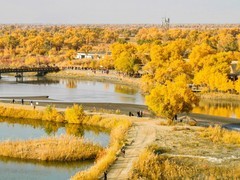 外出随拍（931）.