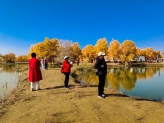 外出随拍（932）.