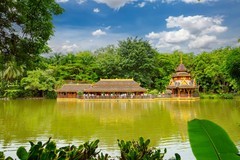 西双版纳风景 9