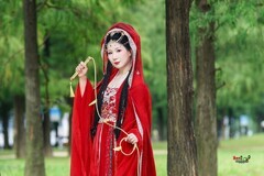 【红帷侠影】---婉灵