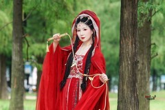 【红帷侠影】---婉灵