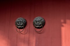 罨画池【续完】