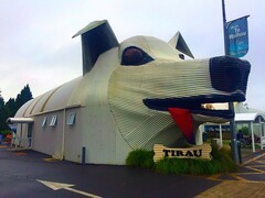 1488【2015中国优导张松摄影集】《异国风情》澳大利亚、新西兰游记！  (4)皇家农场新