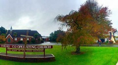 1488【2015中国优导张松摄影集】《异国风情》澳大利亚、新西兰游记！  (4)皇家农场新