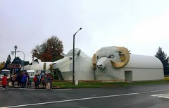 1488【2015中国优导张松摄影集】《异国风情》澳大利亚、新西兰游记！  (4)皇家农场新